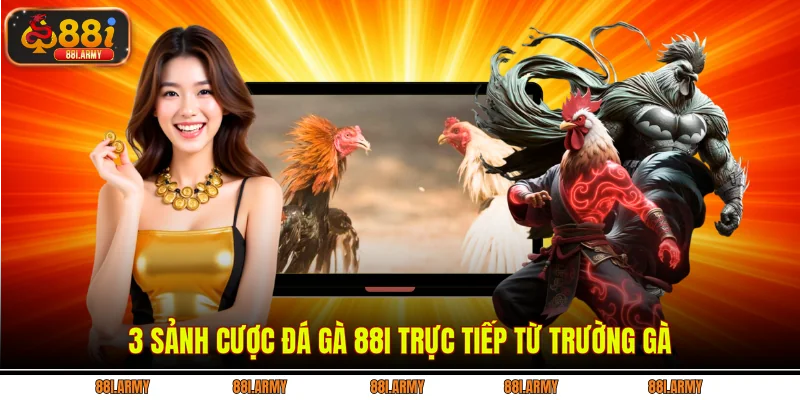 3 sảnh cược Đá gà 88i trực tiếp từ trường gà