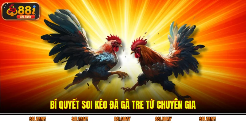 Bí quyết soi kèo đá gà tre từ chuyên gia