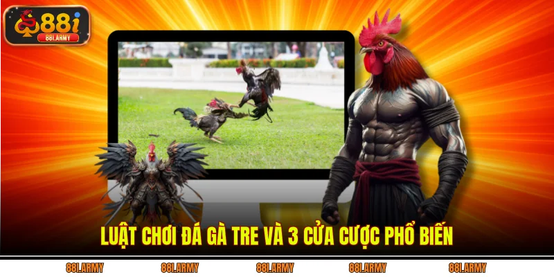 Luật chơi đá gà tre và 3 cửa cược phổ biến
