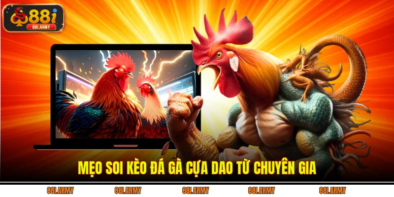 Mẹo soi kèo đá gà cựa dao từ chuyên gia