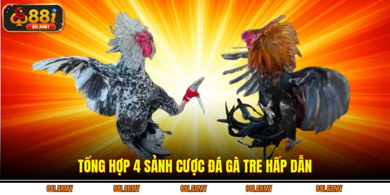 Tổng hợp 4 sảnh cược đá gà tre hấp dẫn